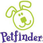 petfinder_orig